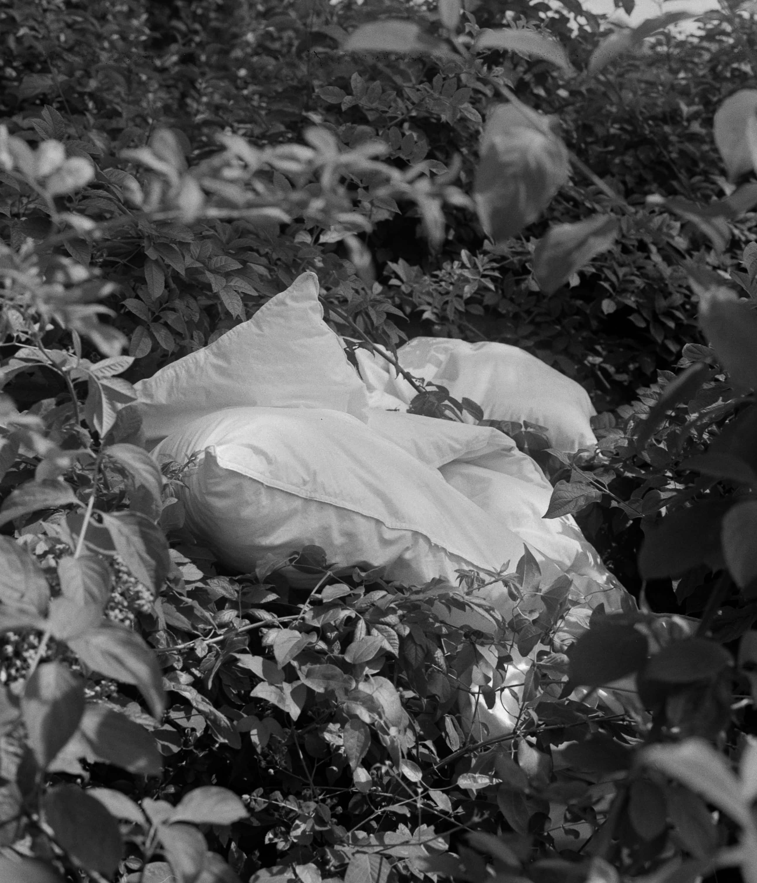 AGBAH Image 7
